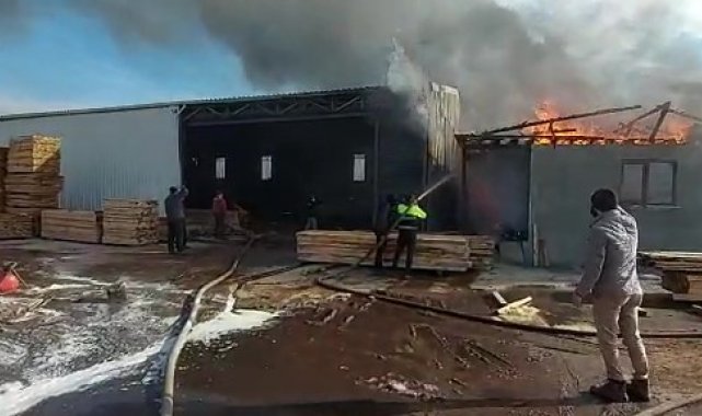Kereste fabrikası alev alev yandı, 1 kişi dumandan etkilendi