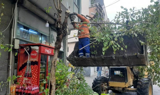 Kilis&#039;te ağaçlar budanıyor