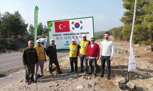 Kilis'te Türkiye-Kore Dostluk Ormanı'nda 20 bin fidan toprakla buluştu