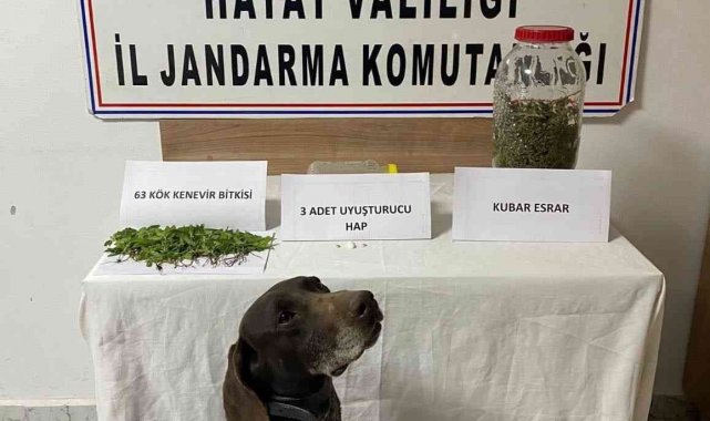 Kırıkhan'da uyuşturucu operasyonu