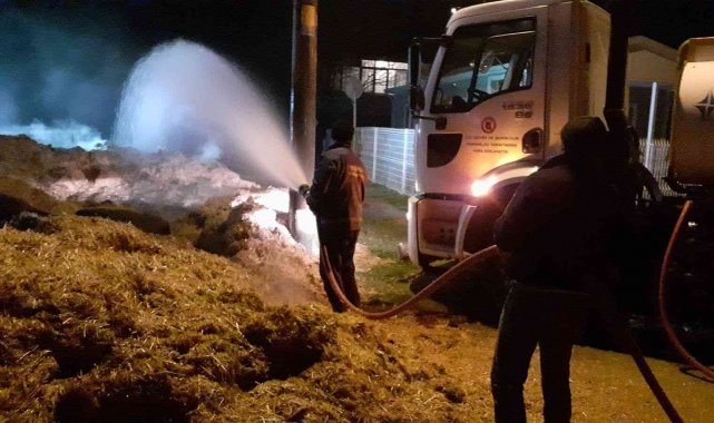 Kırklareli'nde çıkan yangında çok sayıda saman kül oldu