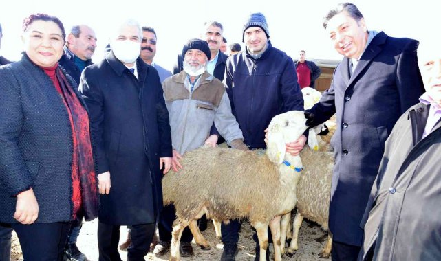 Kırşehir'de çiftçilere hayvan desteği