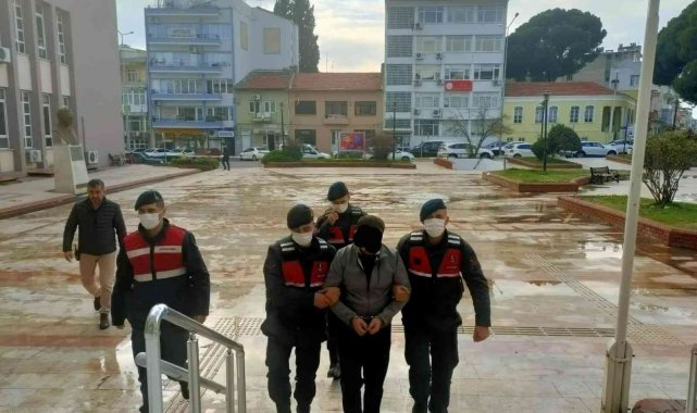 Kitaplığın arkasındaki gizli odada yakalandı