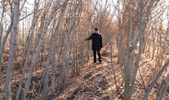 Kocasinan'da kuru yapraklar, organik gübreye dönüşüyor