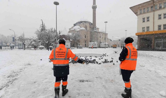 Konya Büyükşehir doğadaki sahipsiz hayvanlara yem bırakıyor