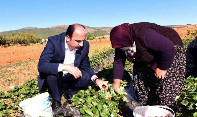 Konya Büyükşehir&#039;den 2021&#039;de tarıma 33 milyon lira destek