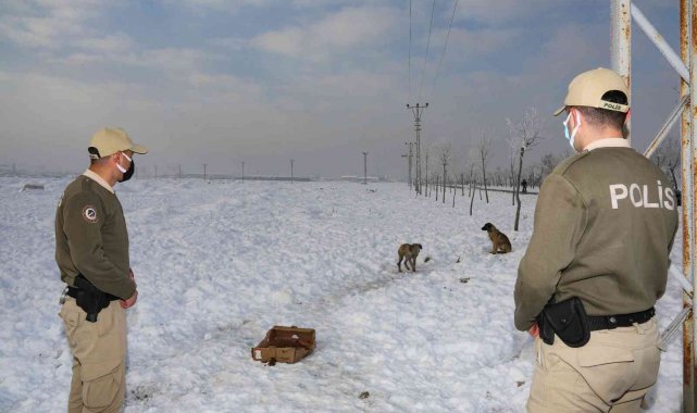 Konya'da hayvanları koruma polisleri, bin 45 ihbara cevap verdi