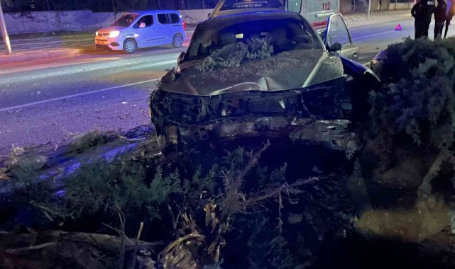 Köpeğe çarpmamak için direksiyonu kırdı, ağaca çarptı: 1 yaralı