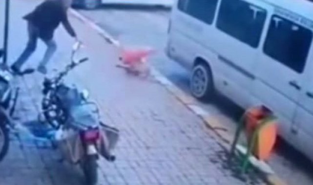 Köpeğe kötü muameleye adli işlem