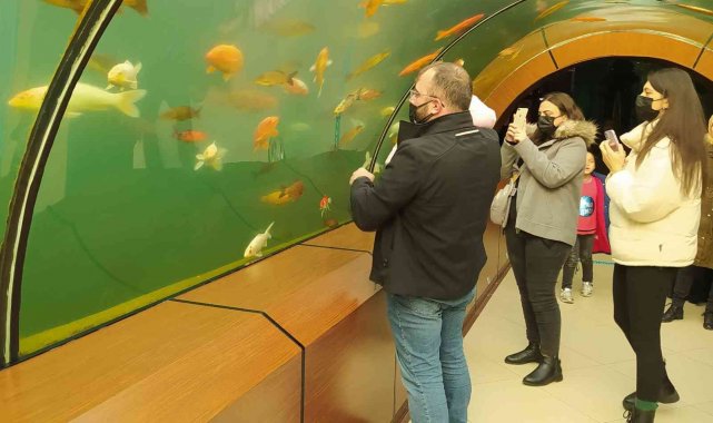 Köpek balıklarıyla dolu bu tünele girenler okyanusların heyecanını yaşıyor