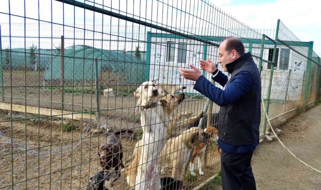 Köpek eğitim ve papağan üretim merkezleri ruhsatlandırıldı