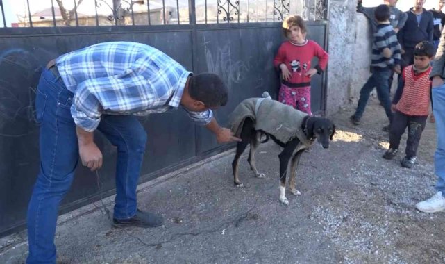 Köpek yumurtaları yedi, tüfek, taş ve sopalar konuştu: 3 yaralı