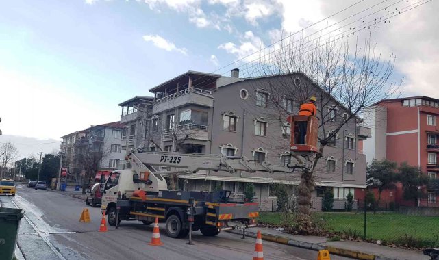 Körfez'de ağaçlara kış bakımı yapılıyor