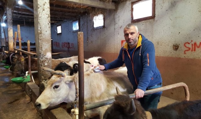 Köy muhtarı köye dönüş yapanlara inek desteğinde bulundu