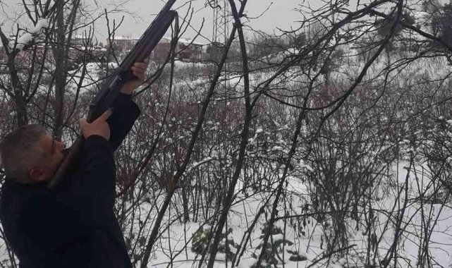 Köy muhtarı, tellere zarar veren dalları tüfekle tek atışla düşürdü