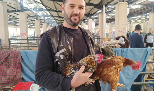 Köy tavuğu satışları patladı