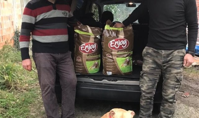 Köyündeki sokak kedileri için kampanya başlattı, 12 bin TL topladı