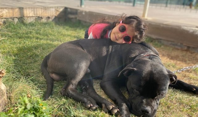 Küçük Asiye uyutuluyor