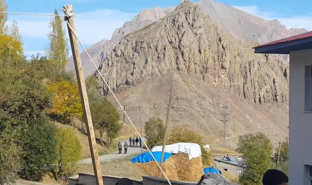 Kurt sürüsü 6 hayvanı telef etti