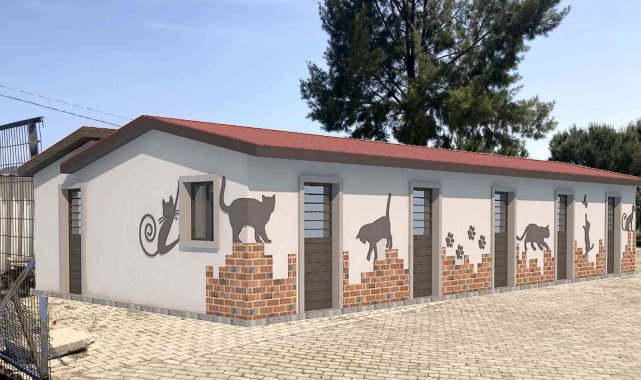 Kuşadası'nda hasta kedilere özel tedavi ünitesi