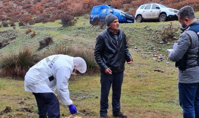 Kütahya'da köpeklerin ve yaban hayvanlarının zehirlenmesiyle ilgili inceleme başlatıldı