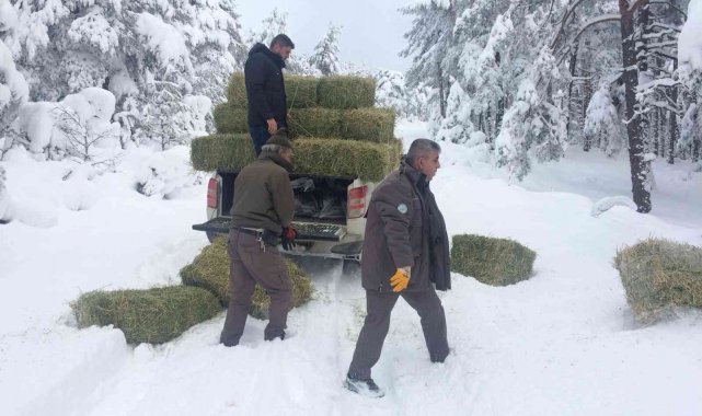 Kütahya&#039;da yaban hayvanları için doğaya yem bırakılıyor