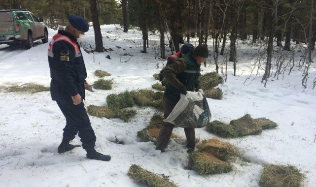 Kütahya&#039;da yaban hayvanlarına yem bırakıldı