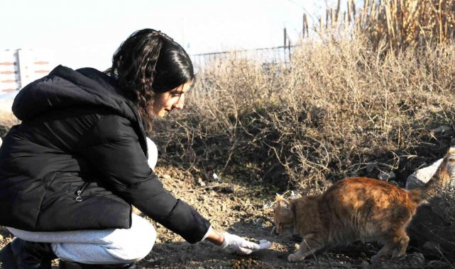 KYK'lı öğrencilerden örnek davranış