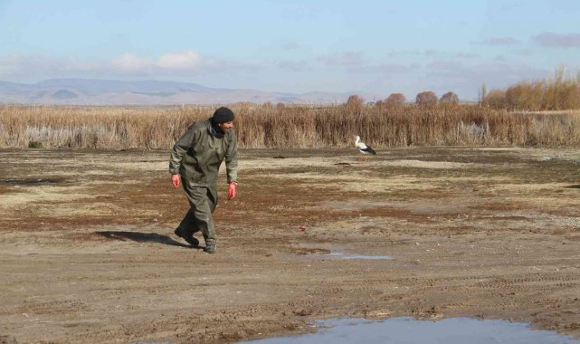 Limanı mesken tutan göç etmeyen leyleği balıkçılar küçük balıklarla besliyor