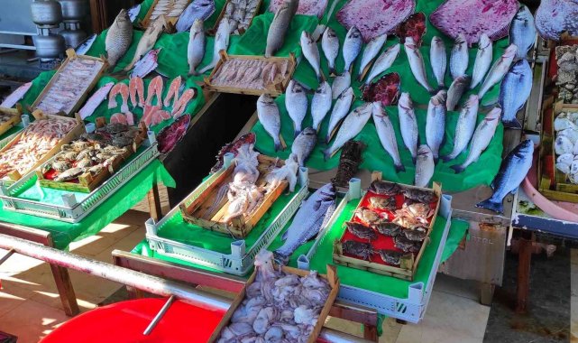 Lodos balık tezgahlarını da etkiledi