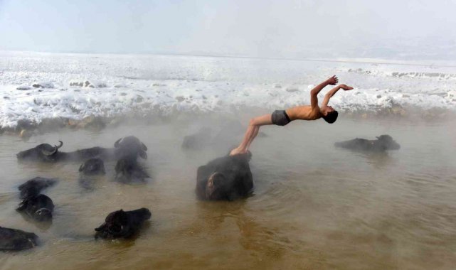 Mandaların eksi 20 derecede kaplıca keyfi