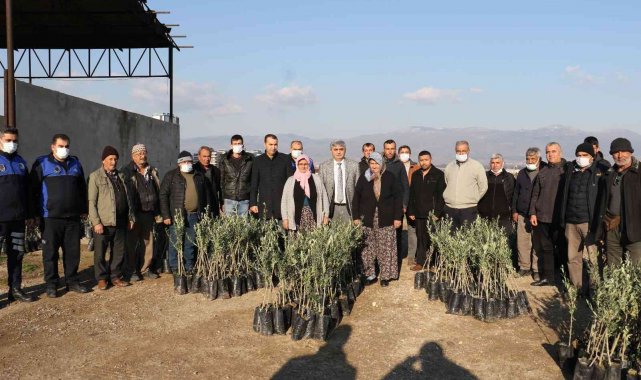 Manisa Büyükşehir Belediyesinden üreticilere 100 bin fidan desteği