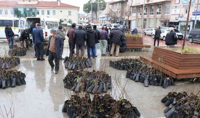 Manisa Büyükşehir Belediyesinden üreticiye fidan desteği