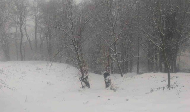 Manyas'a mevsimin ilk karı yağdı