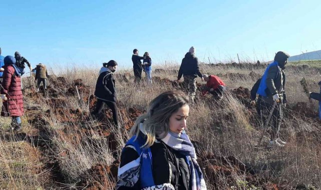 Manyaslı gençler meşe fidanını ektiler