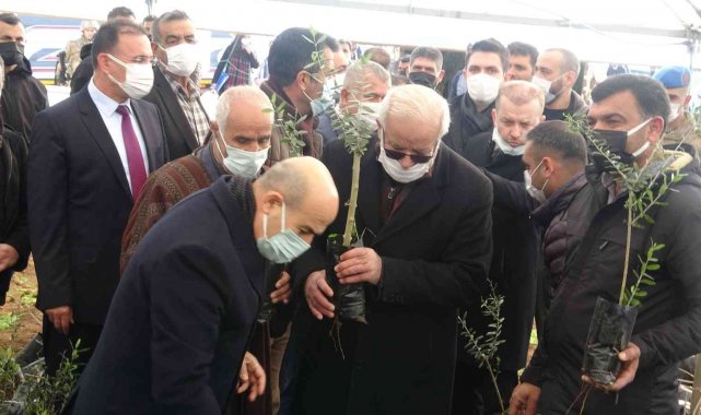 Mardin'de çiftçiye 750 bin fidan dağıtıldı