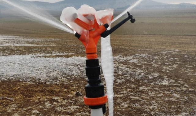 Mardin'de sulanan araziler buz tuttu