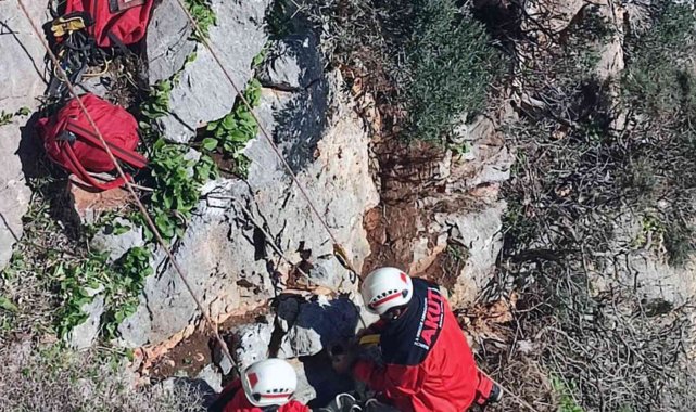 Marmaris AKUT'tan keçi kurtarma operasyonu