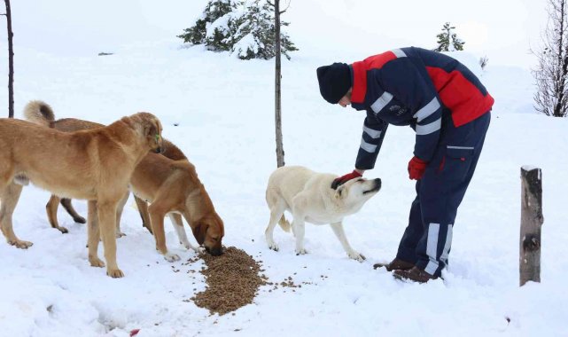 Meram'da kar yağışlarında sokak hayvanları unutulmadı