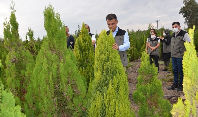 Mersin'de 2021 yılında 5 milyon 250 bin fidan üretildi