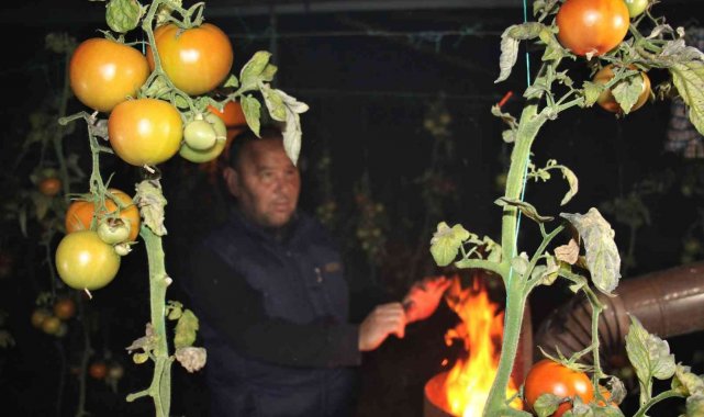 Mersin&#039;de seralarda sobalar yakıldı, zirai don nöbeti başladı
