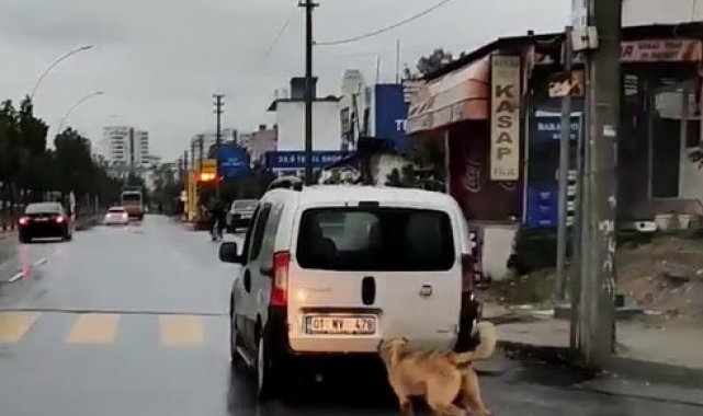 Mersin'de tepki çeken görüntü