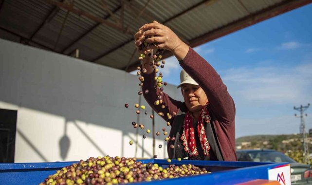 Mersin'de zeytin üreticilerine ekipman desteği