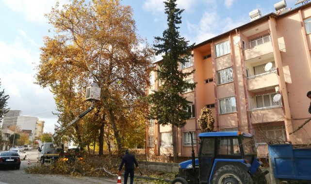 Mevsimsel budama çalışmaları sürüyor