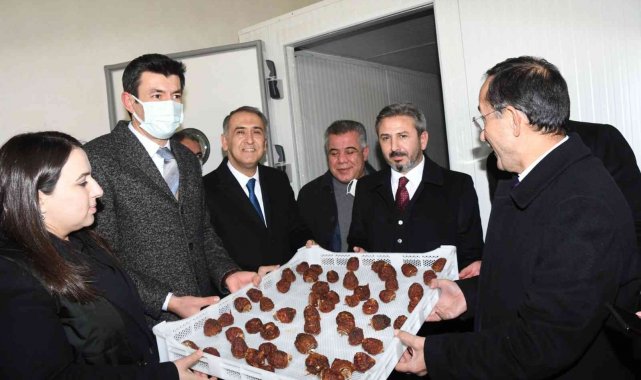 Meyve kurutma ve paketleme tesisi açıldı