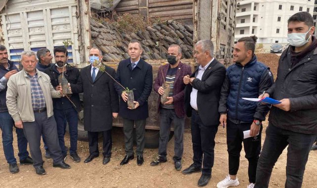 Midyat'ta çiftçilere 48 bin 805 fıstık-badem fidanı dağıtıldı