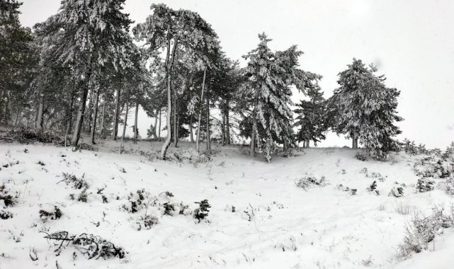 Mihalıççık'ta kar yağışı etkili odu