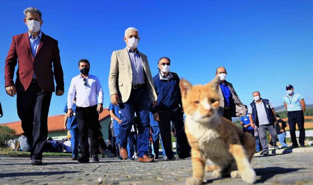 Muğla Büyükşehir barınağında 26 Bin 529 hayvan tedavi edildi