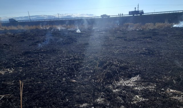Muradiye'de sazlık yangını