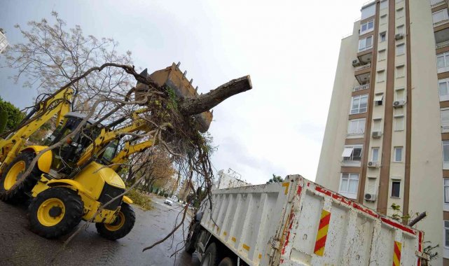 Muratpaşa&#039;da devrilen 170 ağaca müdahale